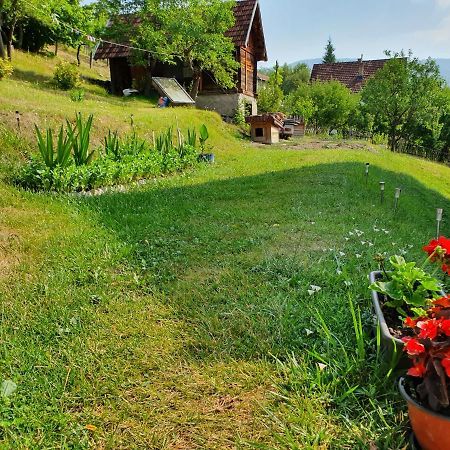 Apartman Draga Bed and Breakfast Mokra Gora Eksteriør billede