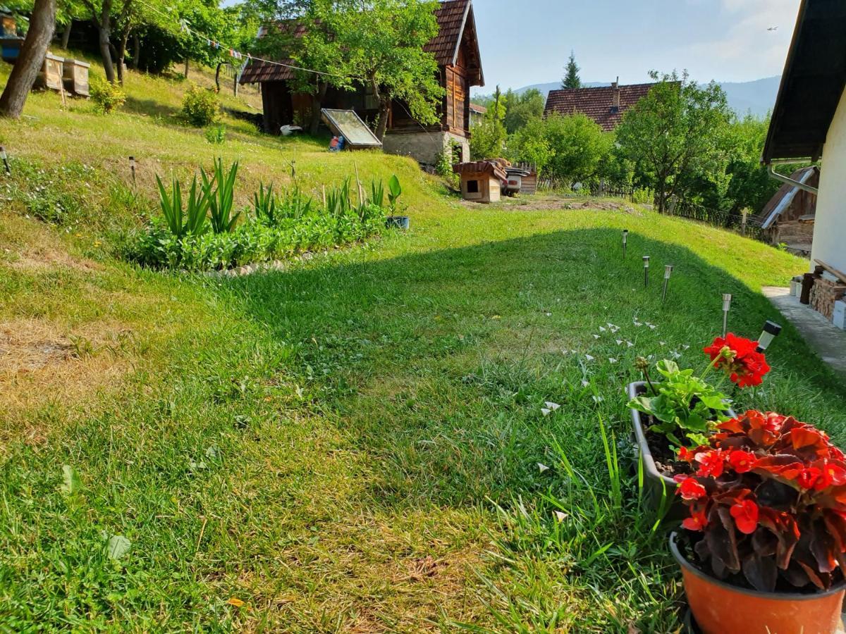 Apartman Draga Bed and Breakfast Mokra Gora Eksteriør billede